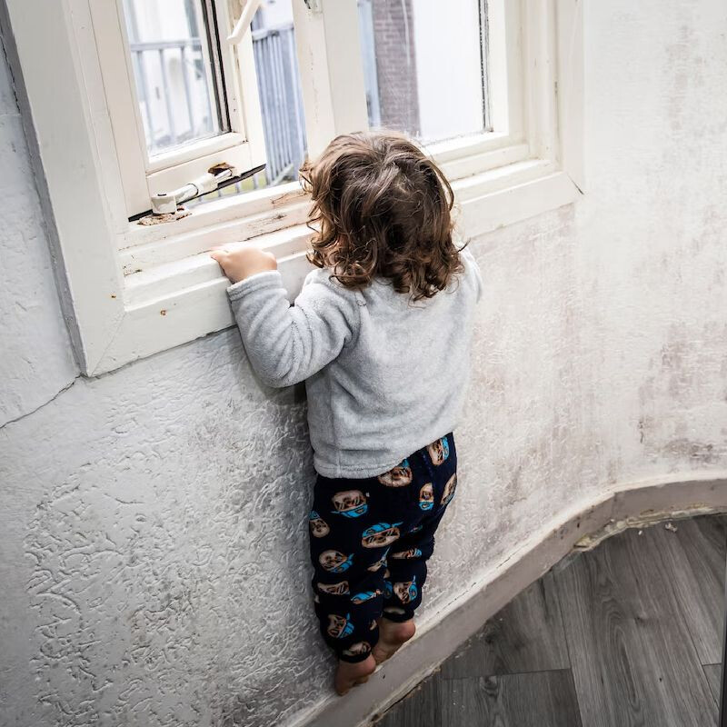 schimmel-foto-parool